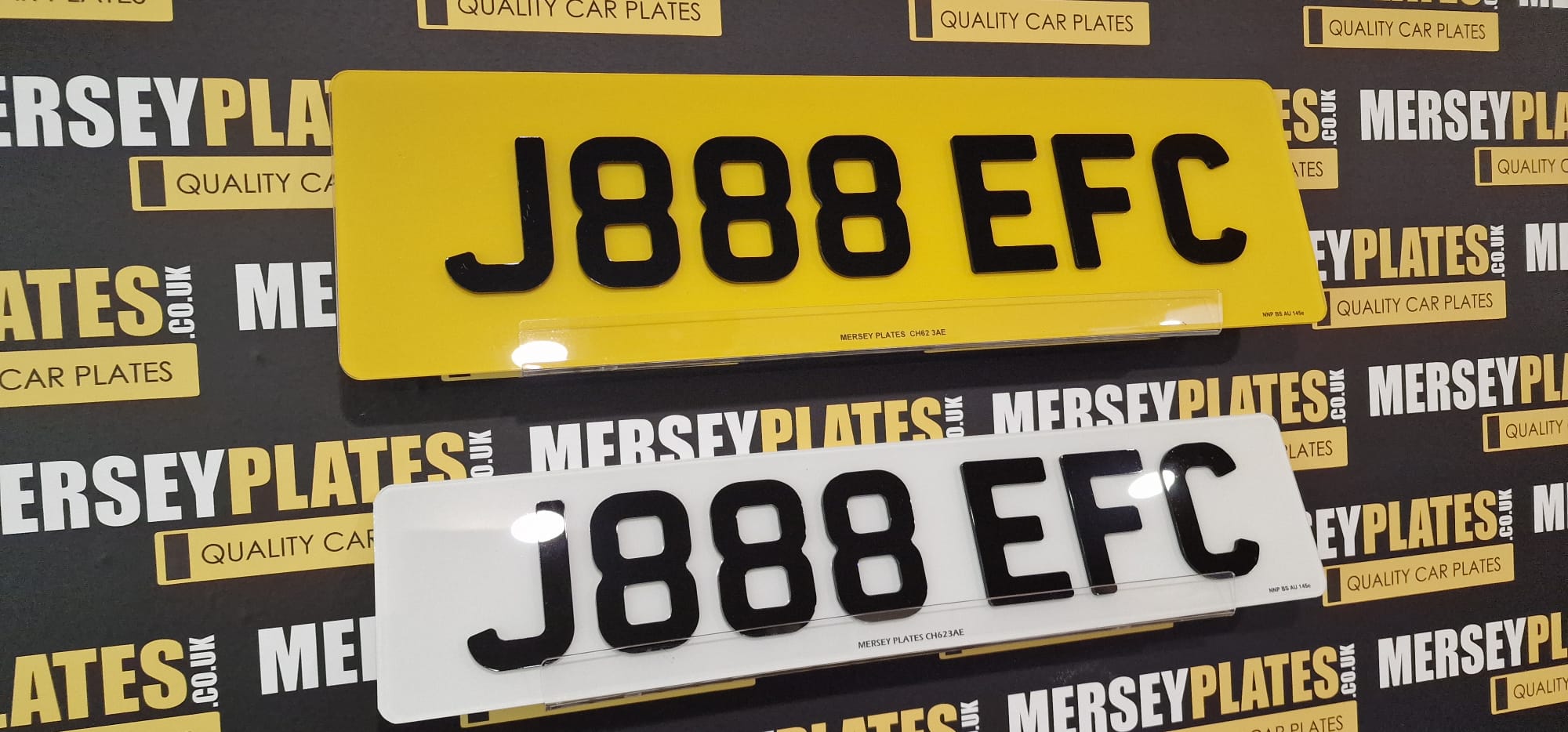 Oversized Plates - Image 2
