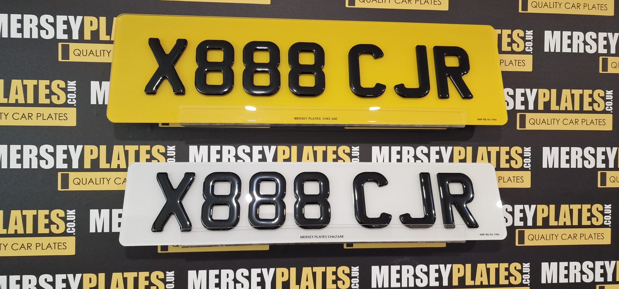Oversized Plates - Image 3