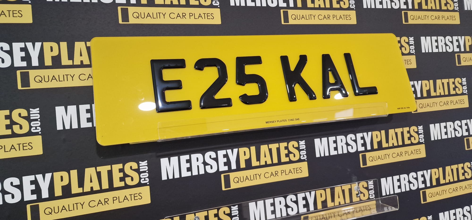 Oversized Plates - Image 4